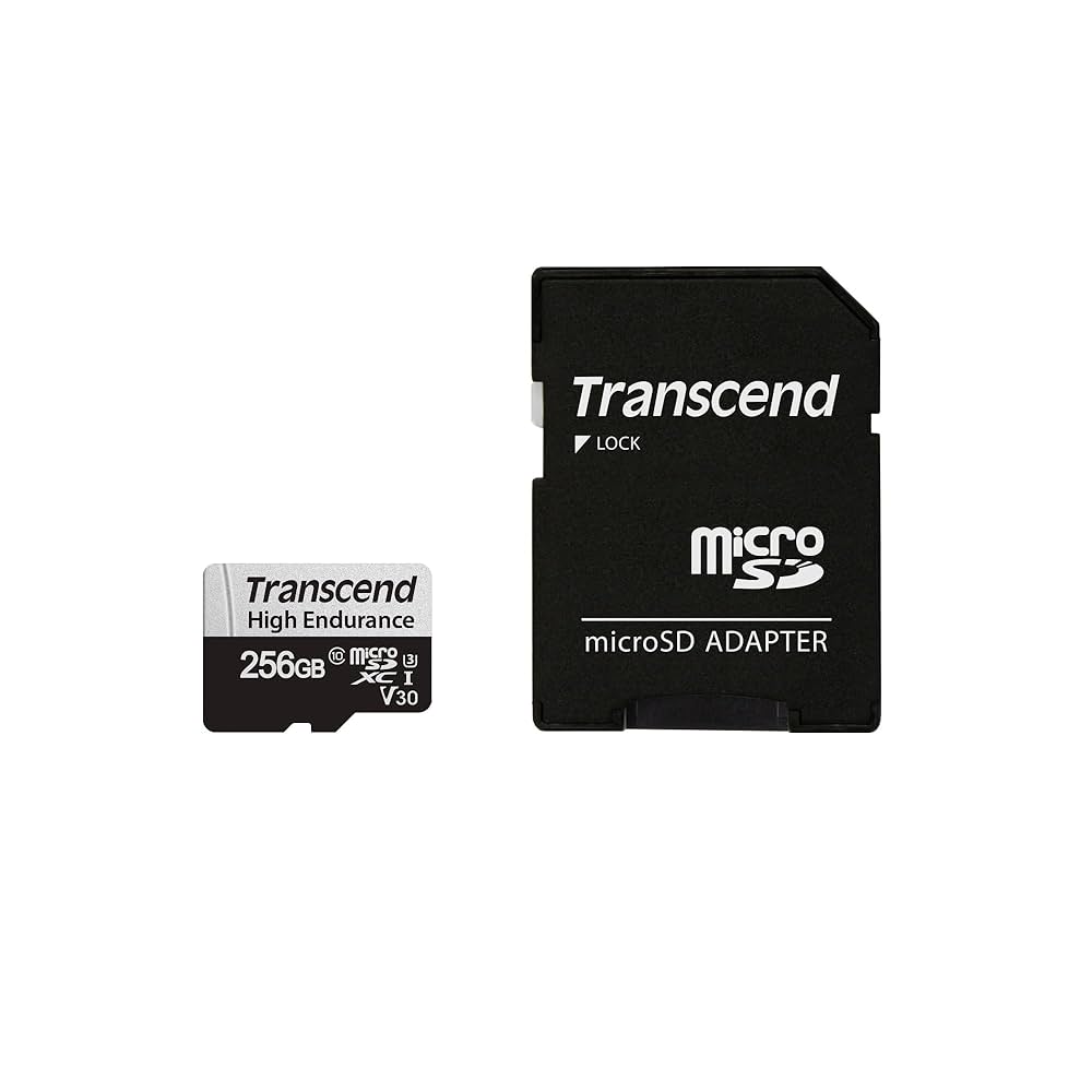 ■トランセンド(Transcend)　TS256GCF800 [256GB] Amazon | Transcend TS256MCF80 256MB CF CARD (80X TYPE I